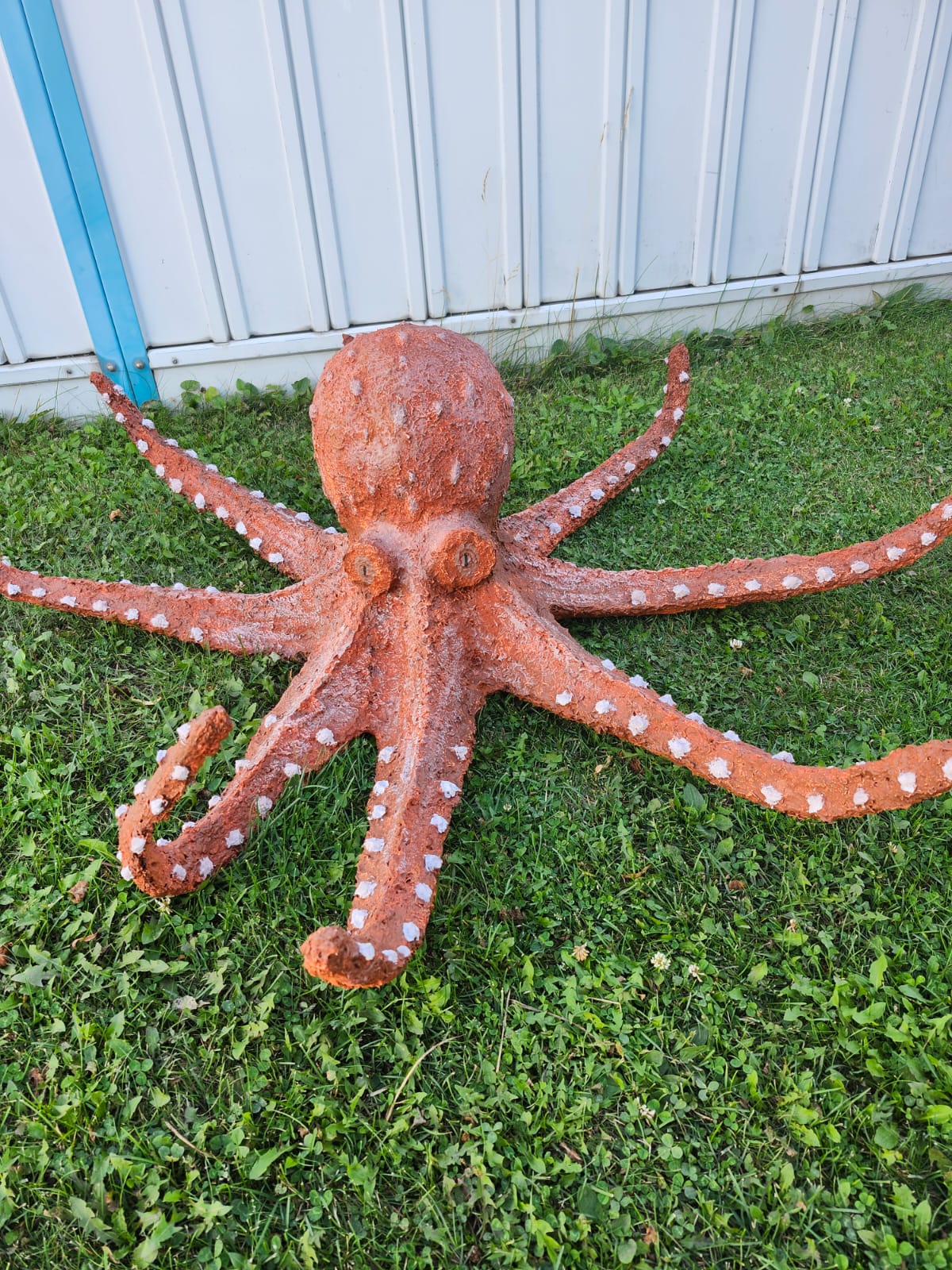 Octopus in Waters